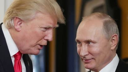 যুক্তরাষ্ট্রের নির্বাচনে মাথা ঘামাবেন না, পুতিনকে নির্দেশ দিলেন ট্রাম্প