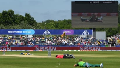 World Cup 2019: Bees stop South Africa-Sri Lanka contest in Durham; players, umpires hit the deck