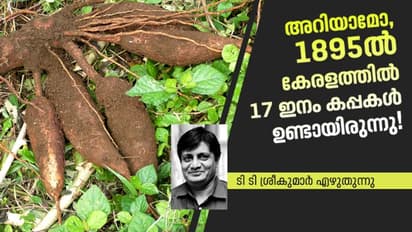 കപ്പ കേരളത്തില്‍ കൊണ്ടുവന്നത്  വിശാഖം തിരുനാള്‍ ആയിരുന്നോ?