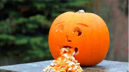 বাসে উঠলেই বমি! মুক্তি পেতে মাথায় রাখুন কয়েকটি টিপস