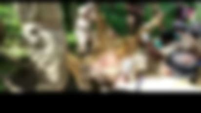 പതിനാറുകാരിയുടെ മരണം ആത്മഹത്യയല്ല, കൊലപാതകമെന്ന് പോസ്റ്റ്മോര്ട്ടം റിപ്പോര്ട്ട്