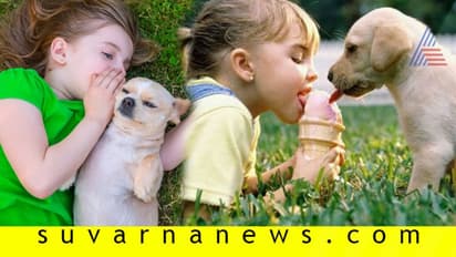 ಸಾಕುಪ್ರಾಣಿಗಳೊಂದಿಗೆ ಮಾತನಾಡೋರು ಹೆಚ್ಚು ಬುದ್ಧಿವಂತ್ರು!