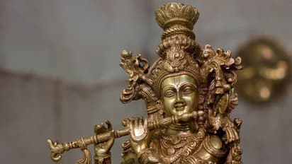 ভাবছেন কোথায় বসাবেন ঠাকুর! জানুন কোন ঠাকুর রাখলে সংসারে বজায় থাকবে শান্তি