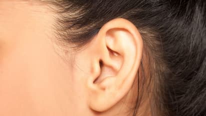 'ಕಿವಿ' ಮಾತುಗಳನ್ನು ಕೇಳಿಸಿಕೊಳ್ಳಿ!