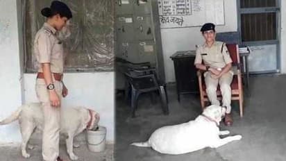 കൊലപാതകക്കേസില് വീട്ടുകാര് ജയിലില്; പൊലീസ് സ്റ്റേഷന് വീടാക്കി 'സുല്ത്താന്'