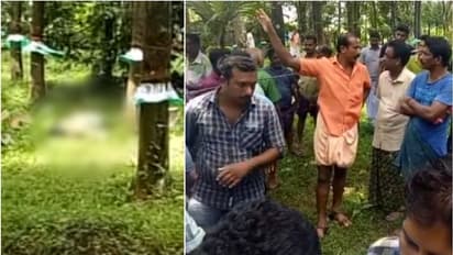 കോതമംഗലത്ത് അറുപതുകാരി റബ്ബർ തോട്ടത്തിൽ മരിച്ച നിലയിൽ; കൊലപാതകമെന്ന് പൊലീസ്