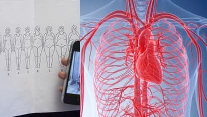 মহিলাদের শরীরের গঠনই বলে দেয় তাঁদের হার্ট কতটা সুস্থ