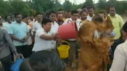 बीजेपी का बैटमैन विधायक तो कांग्रेस का कीचड़ फेंक विधायक