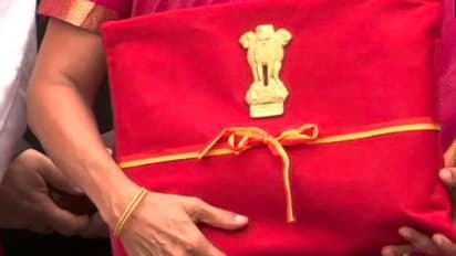 ব্রিফকেসে নয়, লাল ফোলিও কাপড়ে মুড়ে বাজেট নথি নিয়ে সংসদের পথে নির্মলা