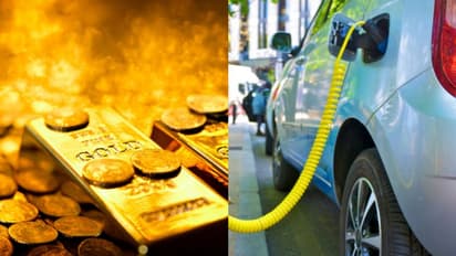 একঝলকে দেখে নিন এবারের বাজেটে কোন জিনিসের দাম কমল আর কোন জিনিস হল মহার্ঘ