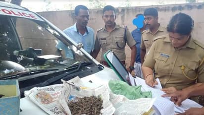 സ്കൂള് പരിസരത്ത് കഞ്ചാവ് വില്പ്പന; കാപ്പ കേസില് ശിക്ഷ കഴിഞ്ഞിറങ്ങിയ യുവാവ് പിടിയില്