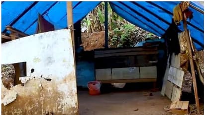 കാത്തിരിപ്പിന് വിരാമം; പുലപ്രക്കുന്ന് കോളനി നിവാസികളും ഇന്ന് ഭൂമിയുടെ അവകാശികളാകും