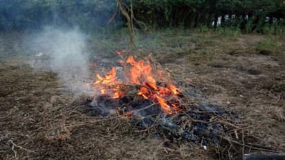 যেখানে সেখানে ময়লা পোড়ালে জেল-জরিমানা, নোটিশ জারি কলকাতায়