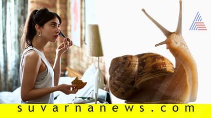 ಸೌಂದಯ ವರ್ಧಕ ಬಸವನ ಹುಳು...ಇದು ಸತ್ಯ ರೀ!