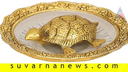 ಆರೋಗ್ಯ ಭಾಗ್ಯಕ್ಕಾಗಿ ಆಮೆ ವಾಸ್ತು!