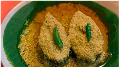 বর্ষায় জমিয়ে ইলিশ খাচ্ছেন! ভালো থাকবে হার্ট, জেনে নিন ইলিশ খাওয়ার উপকারিতা