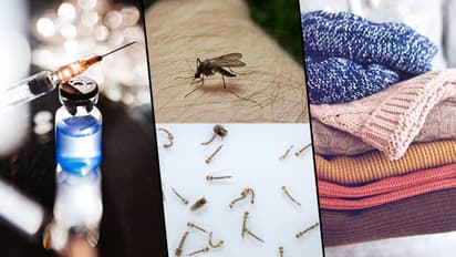 ಮೂರೇ ದಿನದಲ್ಲಿ 563 ಡೆಂಘೀ ಪ್ರಕರಣ!