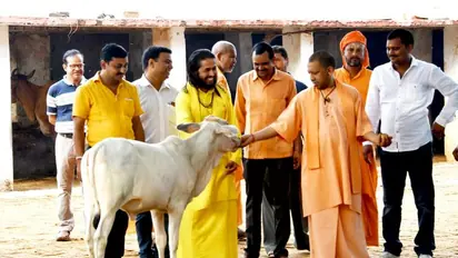 गोवंश की रक्षा के लिए मुख्यमंत्री योगी आदित्यनाथ ने निकाला यह तरीका