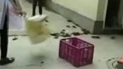 ಏಡಿಗಳಿಂದ ಡ್ಯಾಂ ಒಡೀತು ಎಂದ ಸಚಿವರ ಮನೆ ಮುಂದೆ ಏಡಿ ಸುರಿದು ಪ್ರತಿಭಟನೆ!