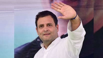 ಟ್ವಿಟರ್‌ನಲ್ಲಿ 1 ಕೋಟಿ ಬೆಂಬಲಿಗರು; ಅಮೇಥಿಯಲ್ಲಿ ರಾಹುಲ್‌ ಗಾಂಧಿ ಸಂಭ್ರಮಾಚರಣೆ