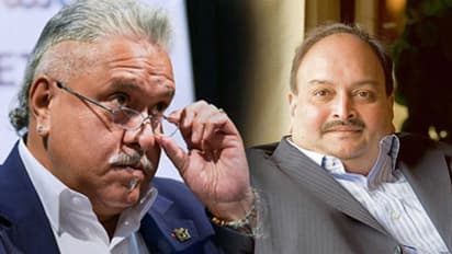 నో రిలీఫ్: మాల్యా పిటిషన్ కొట్టివేత.. చౌక్సీ ఆస్తులు జప్తు