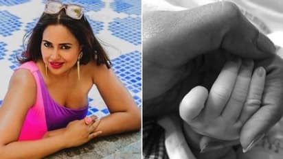 ஒரு வழியா சமீராவுக்கு குழந்தை பிறந்துடுச்சு! அவரே வெளியிட்ட புகைப்படம்!