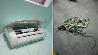 एसी से आ रही थी आवाजें, खोलने पर दिखा खौफनाक मंजर