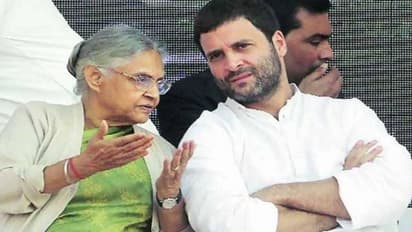 लोकसभा चुनाव में करारी हार के बाद शीला का बढ़ा कद, कांग्रेस ने विधानसभा चुनाव के लिए दी बड़ी जिम्मेदारी