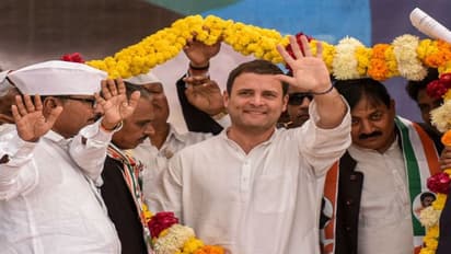 ১৫ হাজার টাকার ব্যক্তিগত বন্ডে মুচলেকা, মানহানি মামলায় জামিন রাহুলের