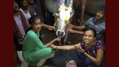 ಎತ್ತಿಗೆ 25ನೇ ವರ್ಷದ ಹುಟ್ಟು ಹಬ್ಬದ ಸಂಭ್ರಮ