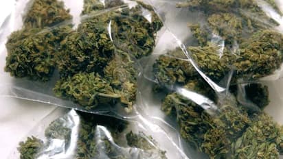 విశాఖలో గుట్టుగా గంజాయి సప్లై... ఎలా చేస్తున్నారంటే...: పోలీస్ కమీషనర్ మనీష్ సిన్హా