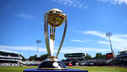 এই অঙ্ক বলছে ইংল্যান্ডই জয়ী! প্রবণতা কি ভাঙতে কি পারবে কিউইরা