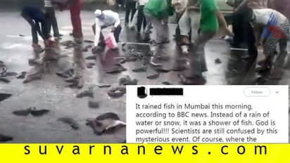 Fact Check: ವಾಣಿಜ್ಯ ನಗರಿ ಮುಂಬೈನಲ್ಲಿ ಮಳೆ ಸುರಿದಾಗ ಬಂದದ್ದು ನೀರಲ್ಲ, ಮೀನು?