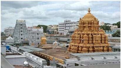 ಇಬ್ಬರು ಎನ್ನಾರೈಗಳಿಂದ ತಿಮ್ಮಪ್ಪನಿಗೆ 14 ಕೋಟಿ ರೂಪಾಯಿ ದೇಣಿಗೆ!