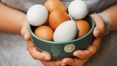 সাদা নাকি বাদামি, কোন ডিমে পুষ্টিগুণ বেশি! বিশেষজ্ঞরা কী বলছেন