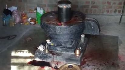 గుడిలో నిద్రిస్తున్న వారి పీకలు కోసి.. వారి రక్తంతో శివలింగానికి అభిషేకం