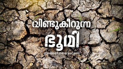ഭൂമിയിലെ 75 ശതമാനത്തിലധികം ഭൂപ്രദേശങ്ങളുടെയും അവസ്ഥ ഇതാണ്; പഠനം പറയുന്നത്