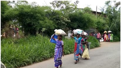 വയനാട്ടിലെ ആദിവാസികള്ക്ക് നല്കുന്ന അരിയില് തൂക്കം കുറച്ച് വെട്ടിപ്പെന്ന് പരാതി