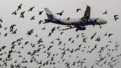 ನಷ್ಟಕ್ಕೆ ಬೆಚ್ಚಿ ಭಾರತಕ್ಕೆ ತನ್ನ ವಾಯುಸೀಮೆ ತೆರೆದ ಪಾಕ್ ಸರ್ಕಾರ!