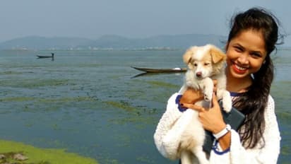 কোন রাশির জাতকের জন্য কোন পোষ্য বয়ে আনবে সুখ-সমৃদ্ধি ও সৌভাগ্য