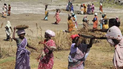 100 நாள் வேலைத்திட்டத்துக்கு தமிழக அரசு அனுமதி.. வேற எந்தெந்த பணிகள் மேற்கொள்ளலாம்..? அரசாணை வெளியீடு