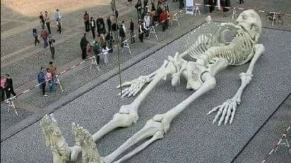 Fact Check| ಭೀಮನ ಮಗ ಘಟೋತ್ಕಜನ ಅಜಾನುಬಾಹು ಅಸ್ಥಿಪಂಜರ ಪತ್ತೆ!