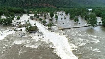 ತಮಿಳುನಾಡಿಗೆ ಲಕ್ಷಗಟ್ಟಲೆ ಕ್ಯುಸೆಕ್‌; ಮಂಡ್ಯ ನಾಲೆಗಿಲ್ಲ ಹನಿ ನೀರು