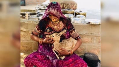 ಜಿಂಕೆ ಮರಿಗೆ ಎದೆ ಹಾಲುಣಿಸುವ ಫೋಟೋ ಜಾಲತಾಣದಲ್ಲಿ ವೈರಲ್!