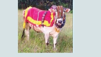 ರಾಜ್ಯಮಟ್ಟದಲ್ಲಿ ಹೆಸರು ಮಾಡಿದ್ದ ಶ್ರೀರಾಮ ಆಕಸ್ಮಿಕ ಸಾವು