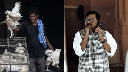 মুরগির মাংস এবং ডিম নিরামিষ, সাংসদের যুক্তিতে হেসে খুন নেট দুনিয়া