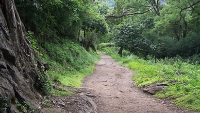 காதலி என நினைத்து இளம் பெண்ணை தோட்டத்து ரோட்டில் வைத்து வாலிபர் பண்ண வேலைய பாருங்க...