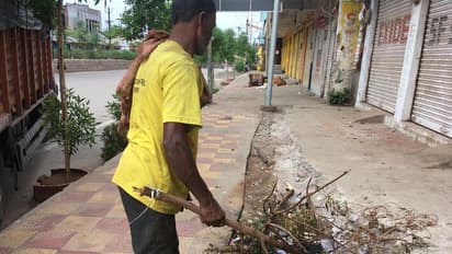 హరితహారం చెట్ల ధ్వంసం: జరిమానా కట్టిన యజమాని