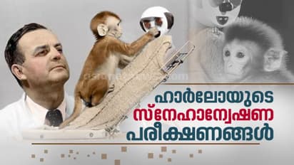 'സ്നേഹമാണോ, ആഹാരമാണോ വലുത്?' എന്ന കുഴക്കുന്ന ചോദ്യത്തിന്റെ ഉത്തരം
