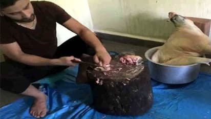 ಮಾಂಸದಂಗಡಿಗೆ ಪರವಾನಗಿ ಕಡ್ಡಾಯ; ಮಾಲೀಕರಿಗೆ ಸೂಚನೆ